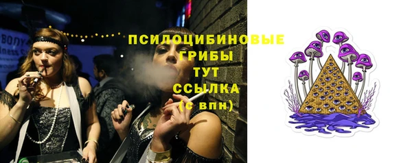 ECSTASY Вязьма